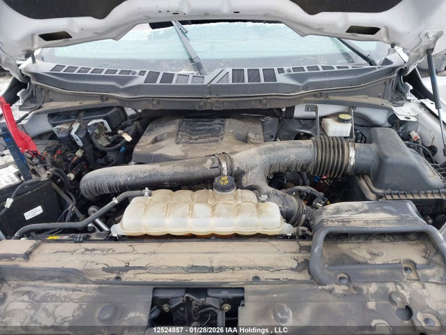 Продажа на аукционе авто 2021 Ford F-150 Xlt, vin: 1FTFW1E8XMFD07188, номер лота: 12524857