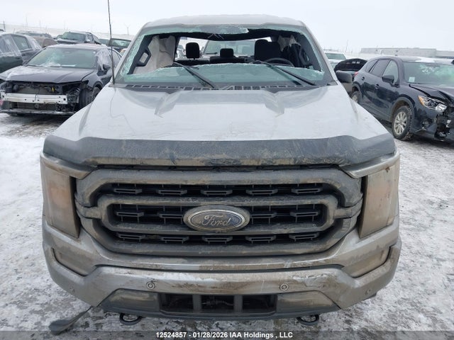 Продажа на аукционе авто 2021 Ford F-150 Xlt, vin: 1FTFW1E8XMFD07188, номер лота: 12524857