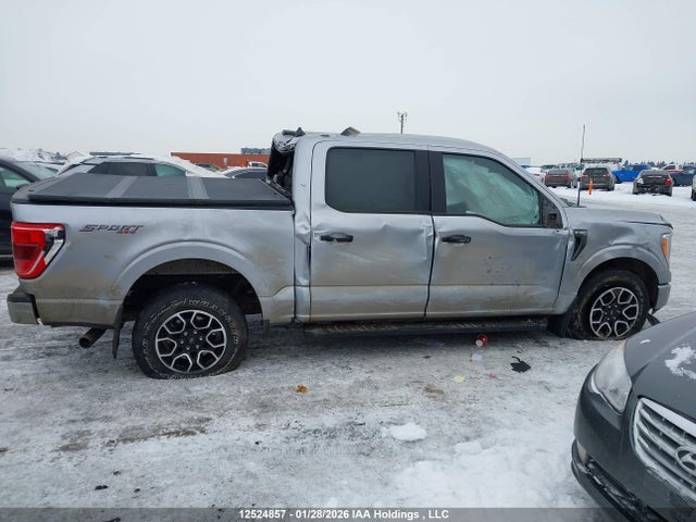 Продажа на аукционе авто 2021 Ford F-150 Xlt, vin: 1FTFW1E8XMFD07188, номер лота: 12524857