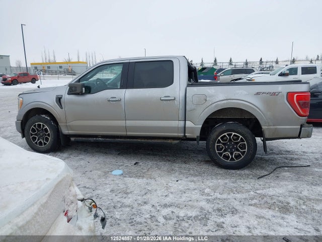 Продажа на аукционе авто 2021 Ford F-150 Xlt, vin: 1FTFW1E8XMFD07188, номер лота: 12524857