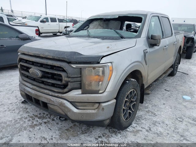 Продажа на аукционе авто 2021 Ford F-150 Xlt, vin: 1FTFW1E8XMFD07188, номер лота: 12524857