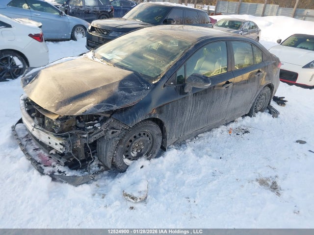 Toyota COROLLA SE 2020 5YFB4RBE6LP004431 Image 2