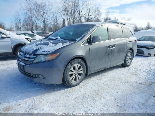 5FNRL5H30GB505199 Honda ODYSSEY SE