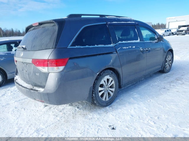 5FNRL5H30GB505199 Honda ODYSSEY SE