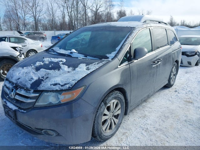 5FNRL5H30GB505199 Honda ODYSSEY SE