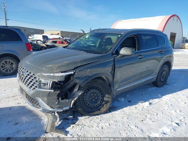 5NMS3DAJ3PH530407 Hyundai Santa Fe Preferred Awd