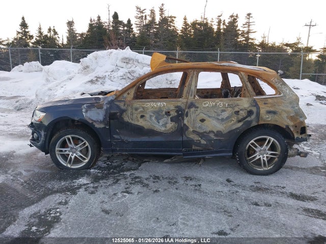 WA1M2AFP6HA034739 Audi Q5 2.0t Progressiv
