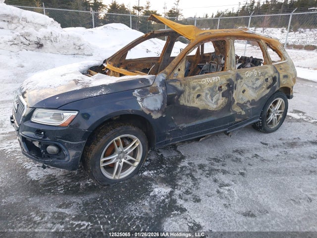 WA1M2AFP6HA034739 Audi Q5 2.0t Progressiv