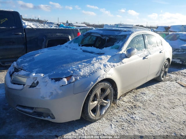 19UUA9F29EA800200 Acura TL