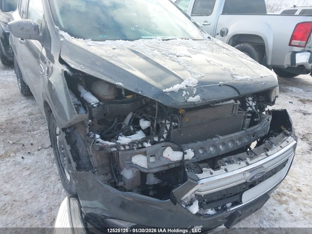 1FMCU0GD5HUE81339 Ford Escape