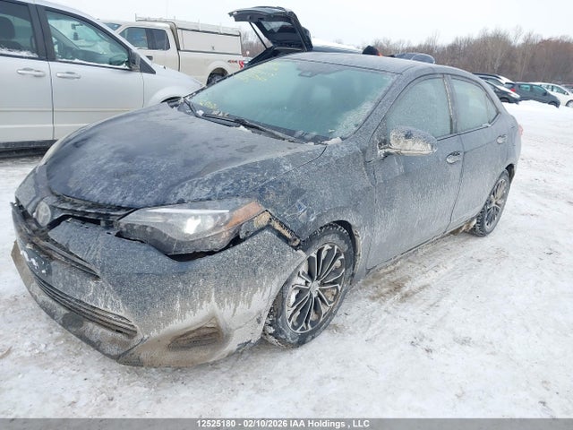 2T1BURHE6KC233469 Toyota Corolla L/le/xle/se/xse