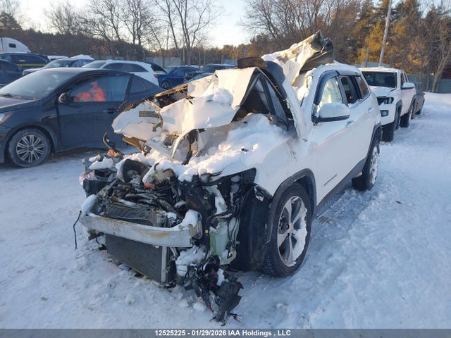 1C4PJMDX3LD544063 Jeep Cherokee Limited