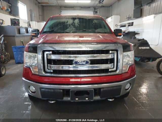 2009 Ford F150 Supercrew მანქანა იყიდება აუქციონზე, vin: 1FTRW14879FB48894, აუქციონის ნომერი: 12525268