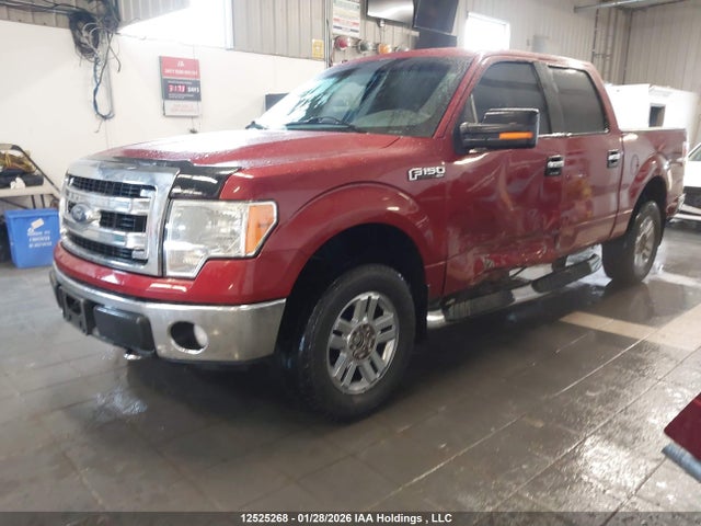 2009 Ford F150 Supercrew მანქანა იყიდება აუქციონზე, vin: 1FTRW14879FB48894, აუქციონის ნომერი: 12525268