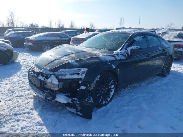 12525280 :رقم المزاد ، WAUFACF50SA016916 vin ، 2025 Audi A5 45 Progressiv مزاد بيع