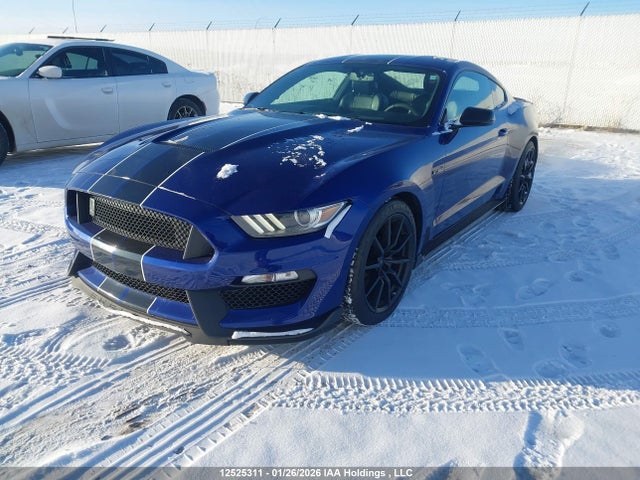 1FA6P8JZ5G5524698 Ford Mustang Shelby Gt350