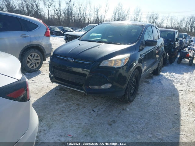 Продажа на аукционе авто 2013 Ford Escape Se, vin: 1FMCU0GX5DUD20316, номер лота: 12525424