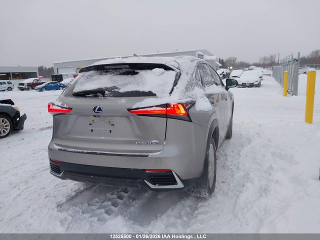 JTJGJRDZ5M2161847 Lexus NX 300H