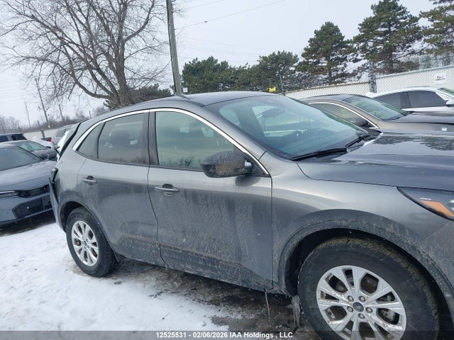 1FMCU9GN7RUA92054 Ford Escape Active