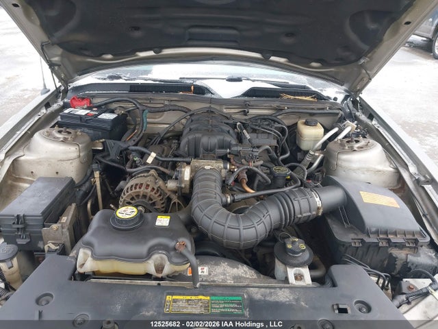 Продаж на аукціоні авто 2008 Ford Mustang Convertible, vin: 1ZVHT84N685186248, номер лоту: 12525682