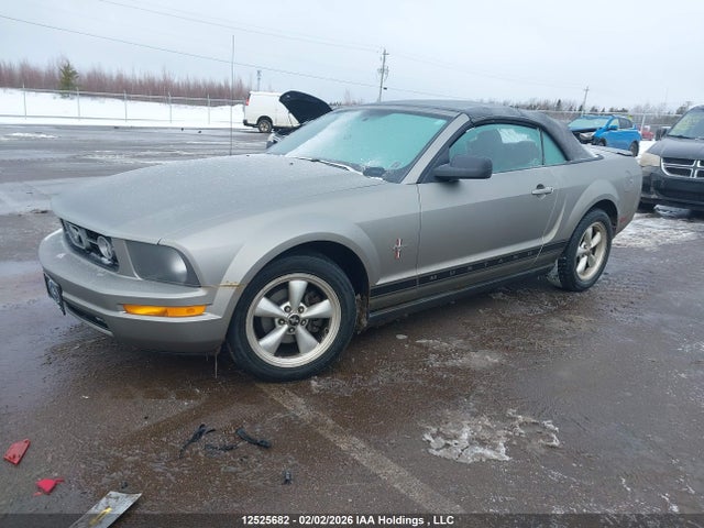 Продаж на аукціоні авто 2008 Ford Mustang Convertible, vin: 1ZVHT84N685186248, номер лоту: 12525682