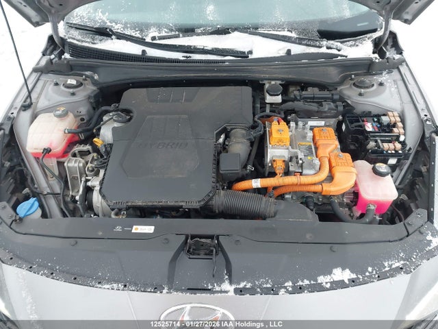 KMHLN4AJ6PU034228 Hyundai Elantra Limited
