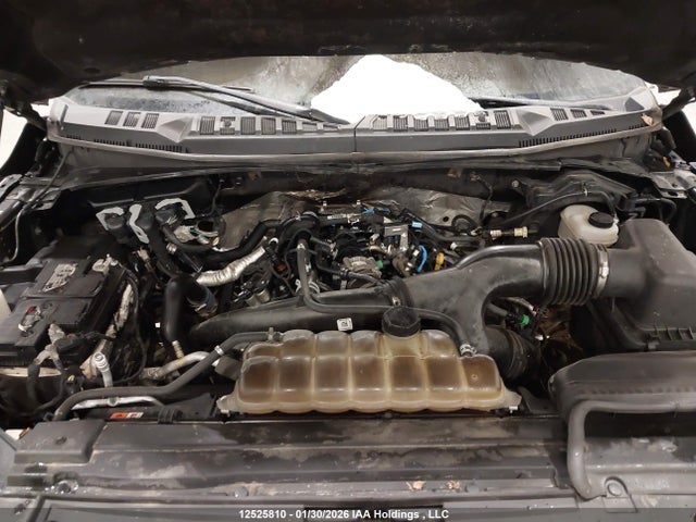 Ford F-150 Xlt 2019 1FTEW1EP8KFB07619 Image 10