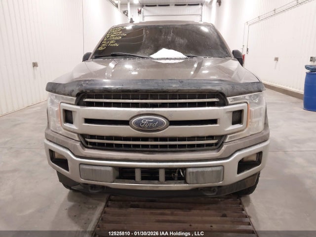 Ford F-150 Xlt 2019 1FTEW1EP8KFB07619 Image 12
