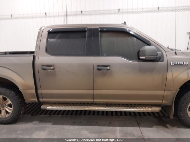 Ford F-150 Xlt 2019 1FTEW1EP8KFB07619 Image 13