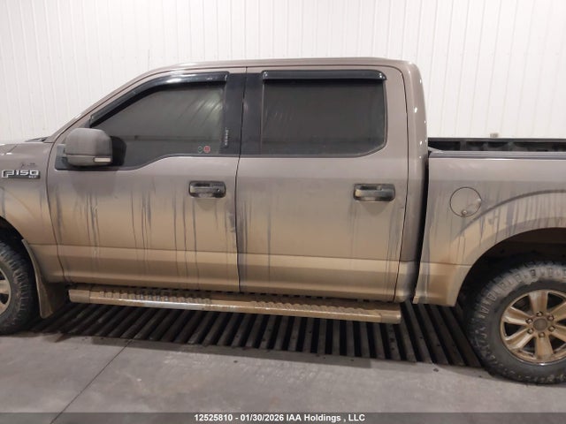 Ford F-150 Xlt 2019 1FTEW1EP8KFB07619 Image 14