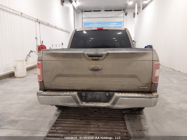 Ford F-150 Xlt 2019 1FTEW1EP8KFB07619 Image 16