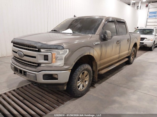 Ford F-150 Xlt 2019 1FTEW1EP8KFB07619 Image 2