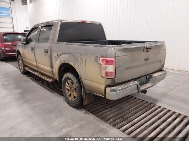 Ford F-150 Xlt 2019 1FTEW1EP8KFB07619 Image 3