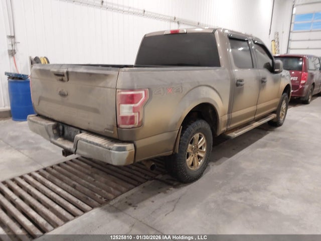 Ford F-150 Xlt 2019 1FTEW1EP8KFB07619 Image 4