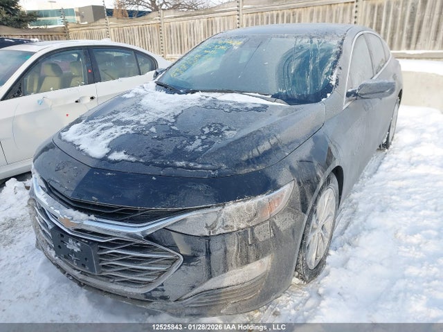 Продажа на аукционе авто 2024 Chevrolet Malibu Lt, vin: 1G1ZD5ST4RF166783, номер лота: 12525843