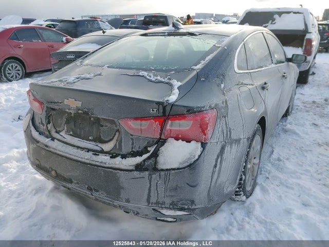 Продажа на аукционе авто 2024 Chevrolet Malibu Lt, vin: 1G1ZD5ST4RF166783, номер лота: 12525843