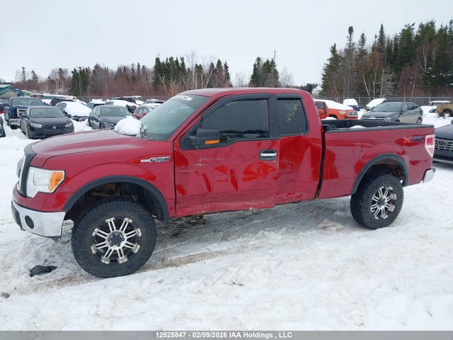 12525847 :رقم المزاد ، 1FTFX1EF7EFB03767 vin ، 2014 Ford F-150 Xlt مزاد بيع