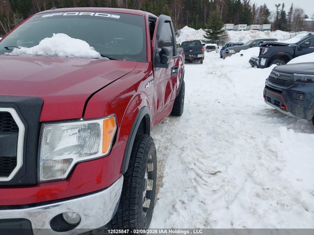12525847 :رقم المزاد ، 1FTFX1EF7EFB03767 vin ، 2014 Ford F-150 Xlt مزاد بيع