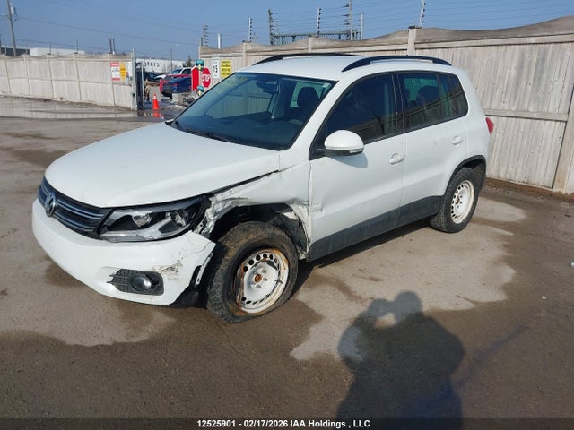 WVGJV7AX0GW594019 Volkswagen Tiguan Comfortline/highline/special Edition