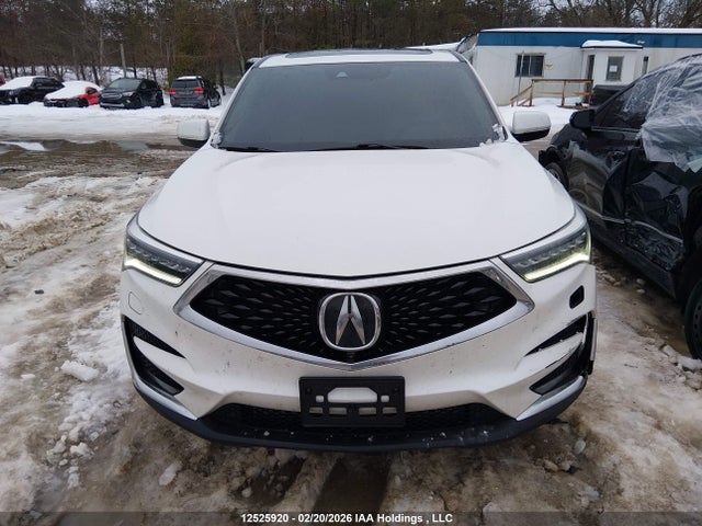 5J8TC2H94LL801909 Acura Rdx Platinum Elite