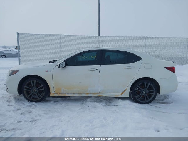 19UUB3F61KA802631 Acura Tlx Technology/a-spec