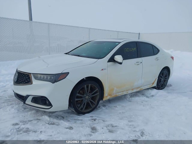 19UUB3F61KA802631 Acura Tlx Technology/a-spec