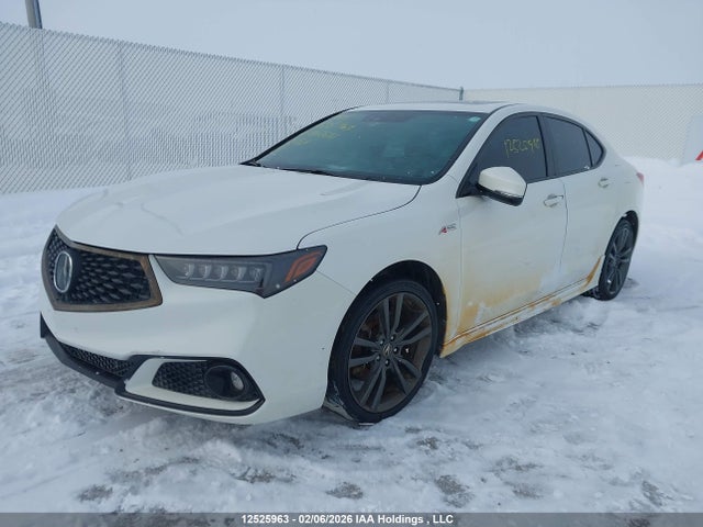 19UUB3F61KA802631 Acura Tlx Technology/a-spec