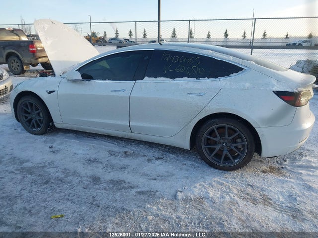 Tesla MODEL 3 2020 5YJ3E1EB0LF626510 Image 11