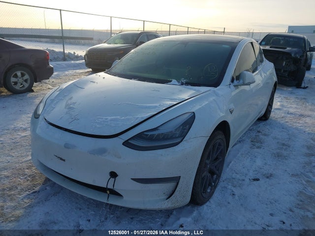 Tesla MODEL 3 2020 5YJ3E1EB0LF626510 Image 2