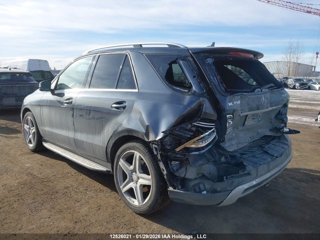 Mercedes-Benz Ml 350 Bluetec 2014 4JGDA2EB7EA311992 Image 3