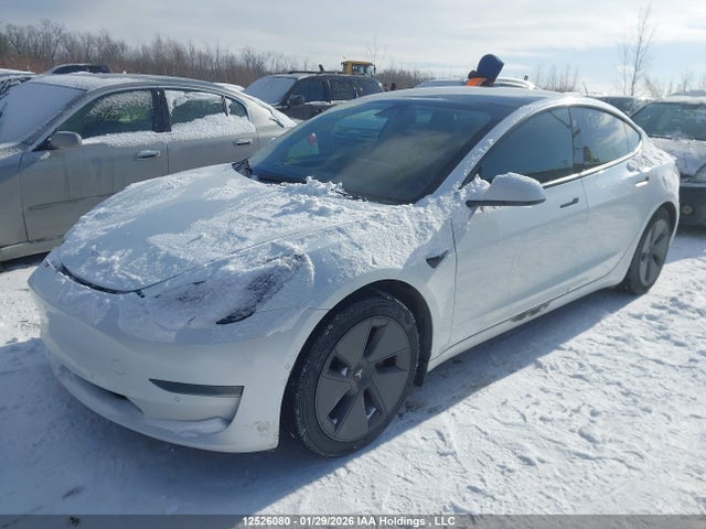 5YJ3E1EA2MF981610 Tesla Model 3 Standard Range/standard Range Plus