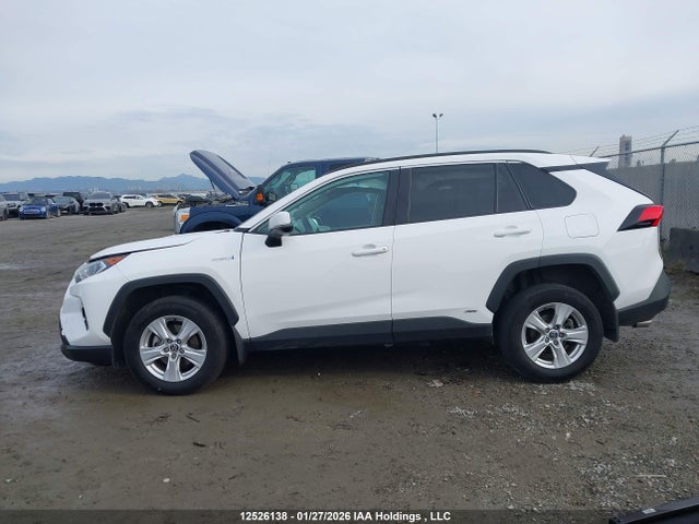 2T3RWRFV3LW084442 Toyota Rav4 Xle/xse