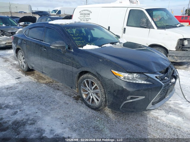 JTHBW1GG1G2125117 Lexus Es 300h 300h