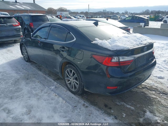 JTHBW1GG1G2125117 Lexus Es 300h 300h